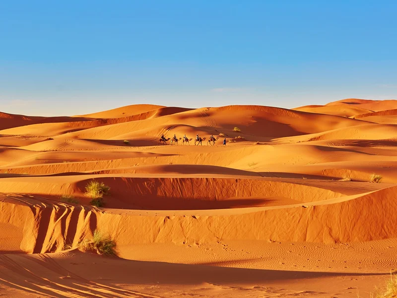 Desierto del Sahara