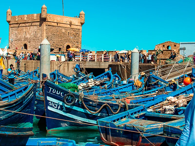 Excursión de Essaouira 1 Día desde Marrakech (Sin Guía)
