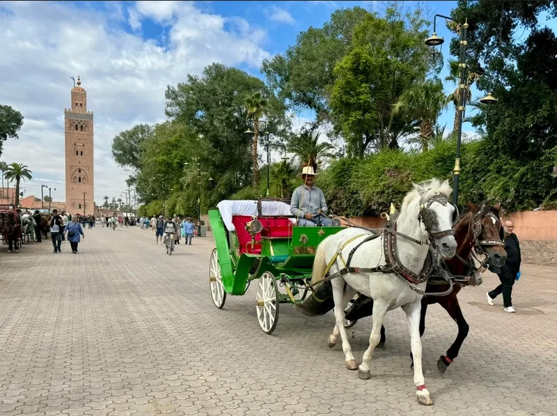 Calesas en Marrakech